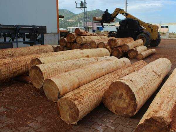 Asid Tomruk Kabuğu Soyma Makinası Sistemi Soyulmuş Ağaçlar